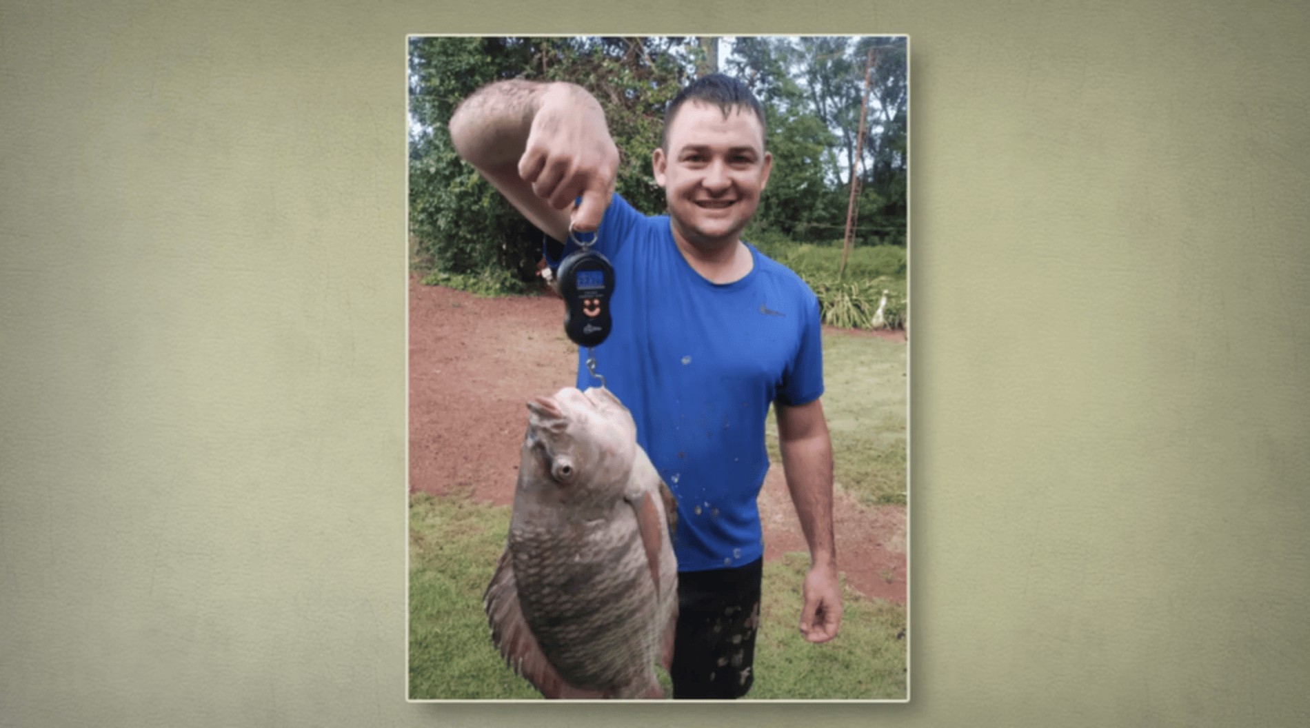 Pescador encontra tilápia com mais de 5 kg no Paraná; entenda se peso é normal
