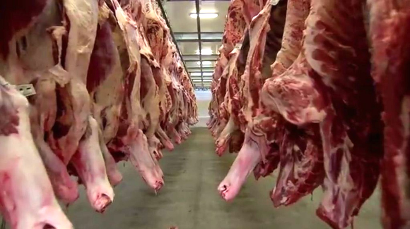 Frigoríficos de MS paralisam produção de carne para os EUA após tarifaço de Trump
