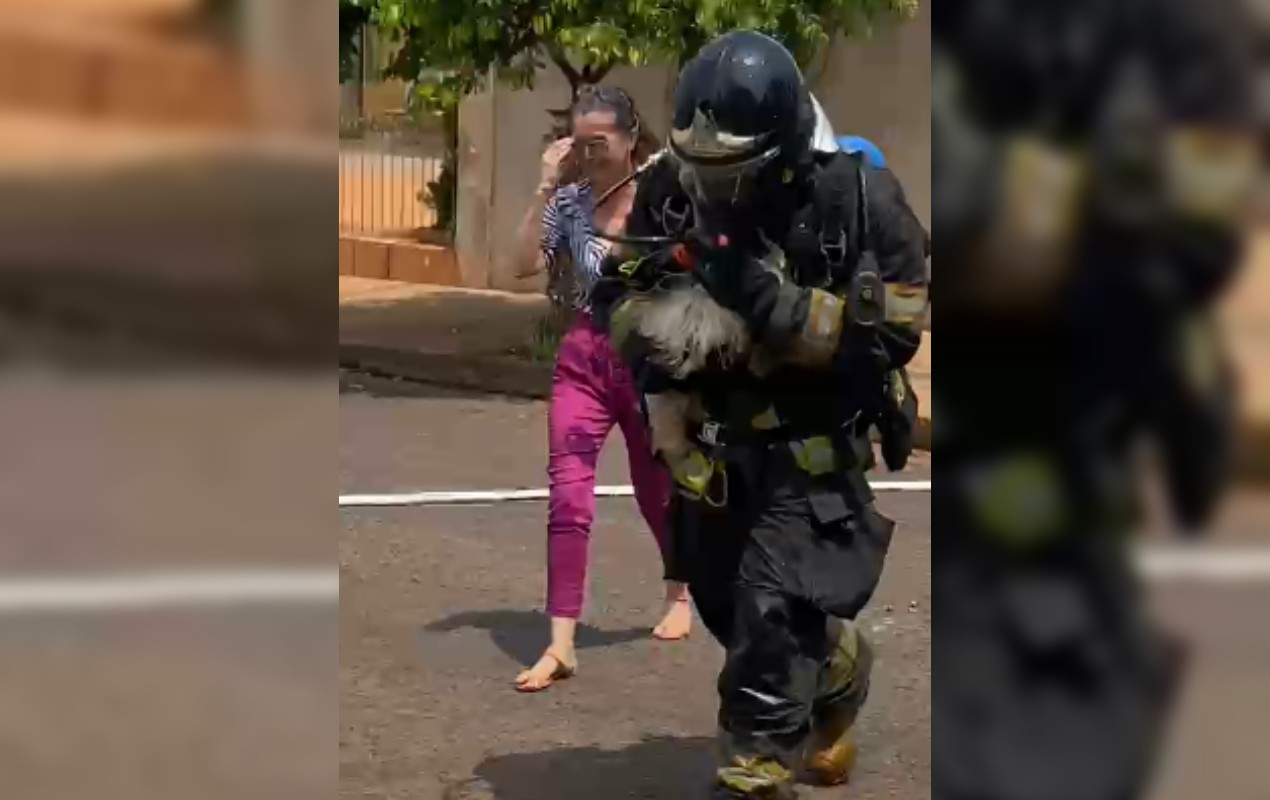 Poodle é resgatado pelo Corpo de Bombeiros durante incêndio em residência no interior de SP; vídeo