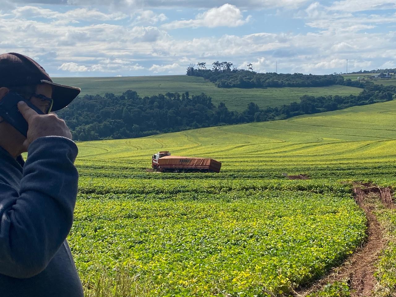 Impasse entre caminhoneiro e produtor  rural deixa caminhão 'travado' no meio de lavoura no Paraná após acidente de trânsito