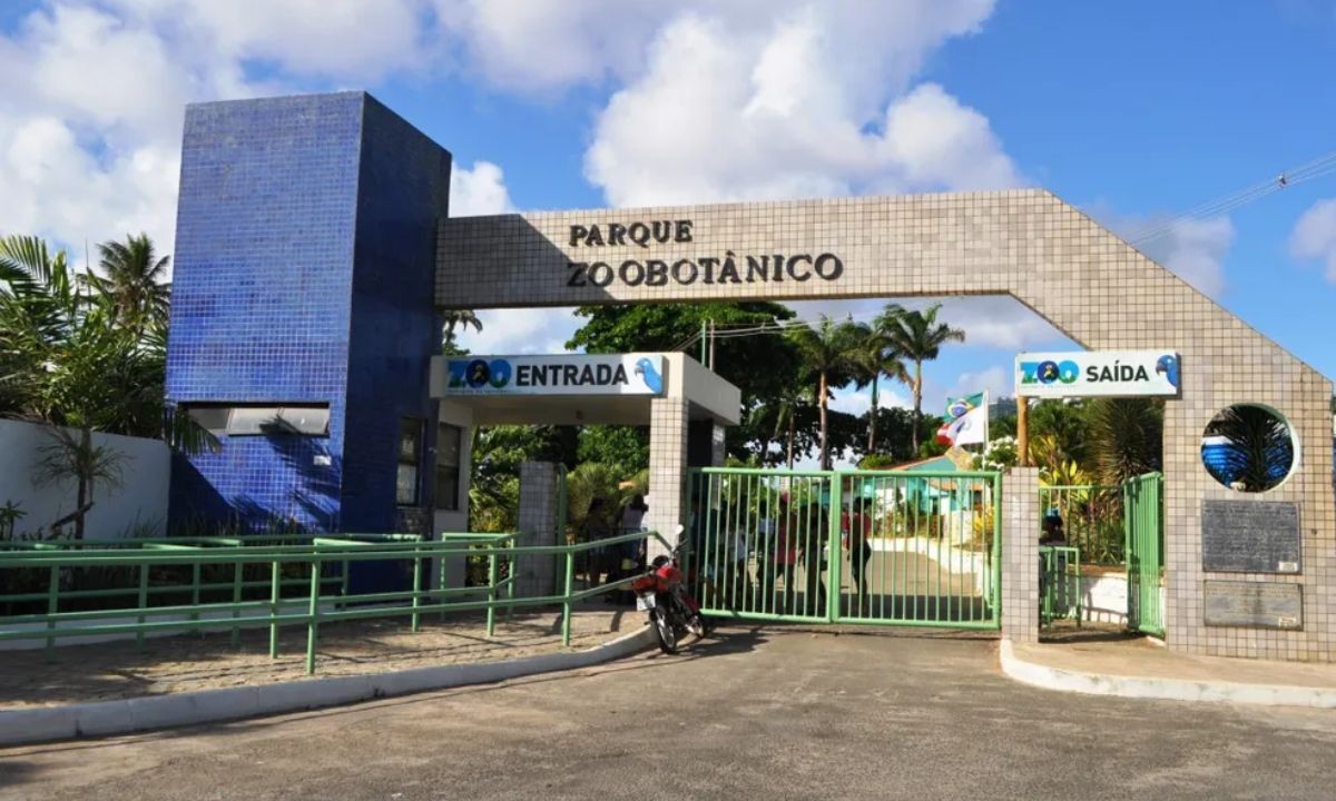 Zoológico de Salvador reabre após três meses de reforma