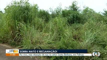 Moradores reclamam de mato alto no setor Santa Bárbara