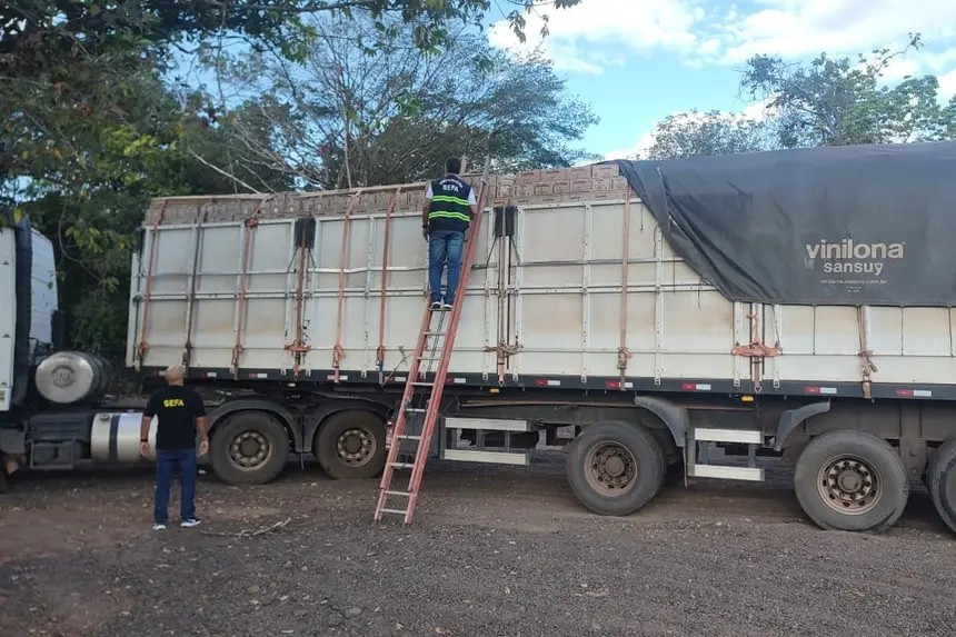 Fiscais apreendem 25 toneladas de açaí e quase 77 mil garrafas de aguardente no Pará