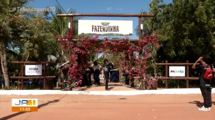 Confira os destaques apresentados nos diversos stands da Agrotins 2024