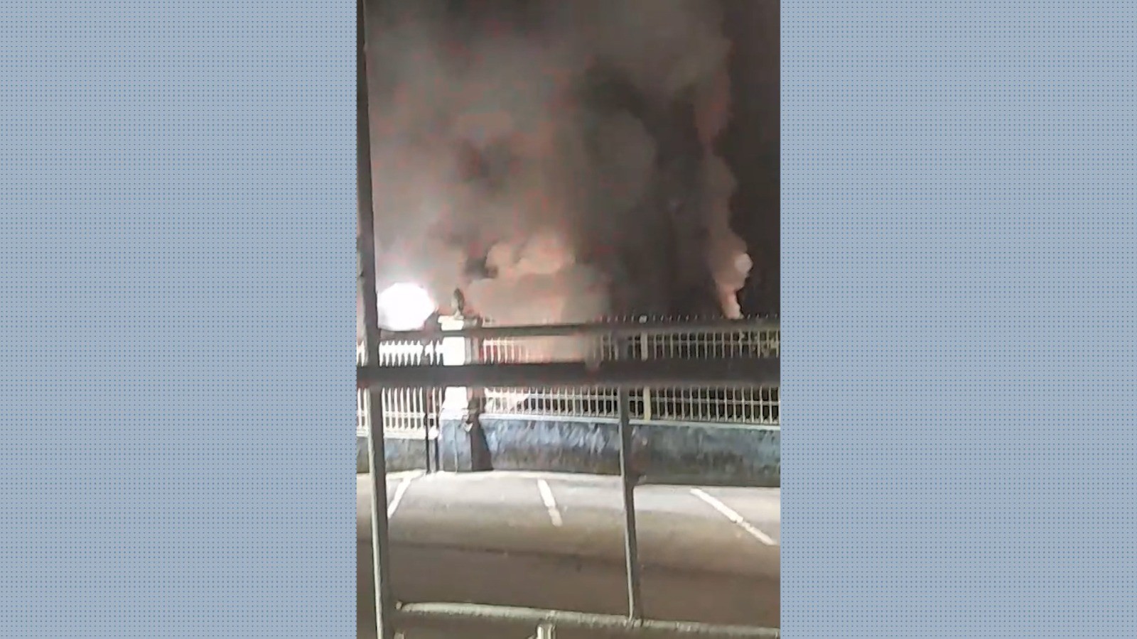 VÍDEO mostra incêndio em árvore centenária gigante que foi cortada em Taubaté, SP