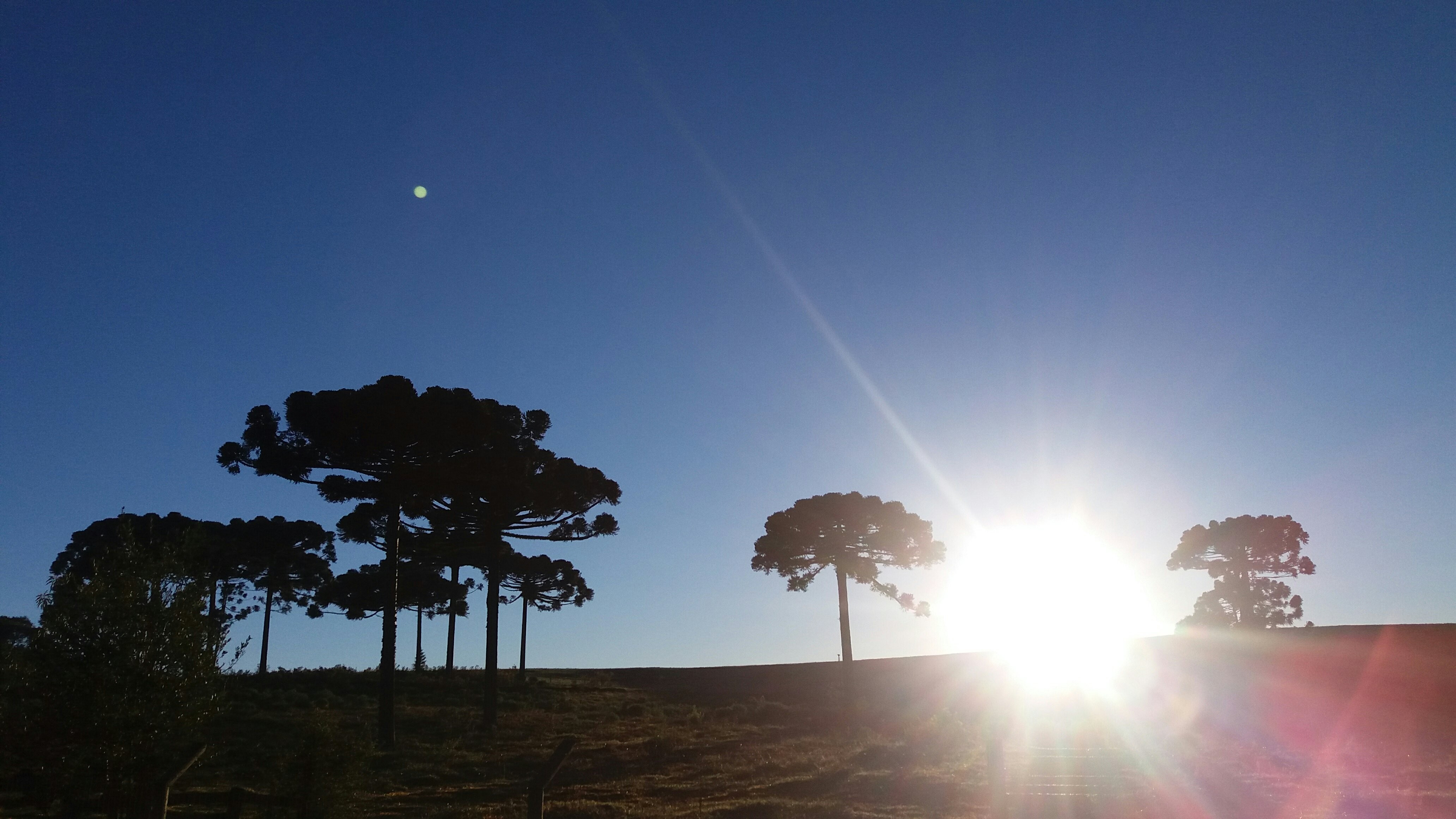 Frente Fria Intensa Traz Geada e Baixa Umidade ao Paraná