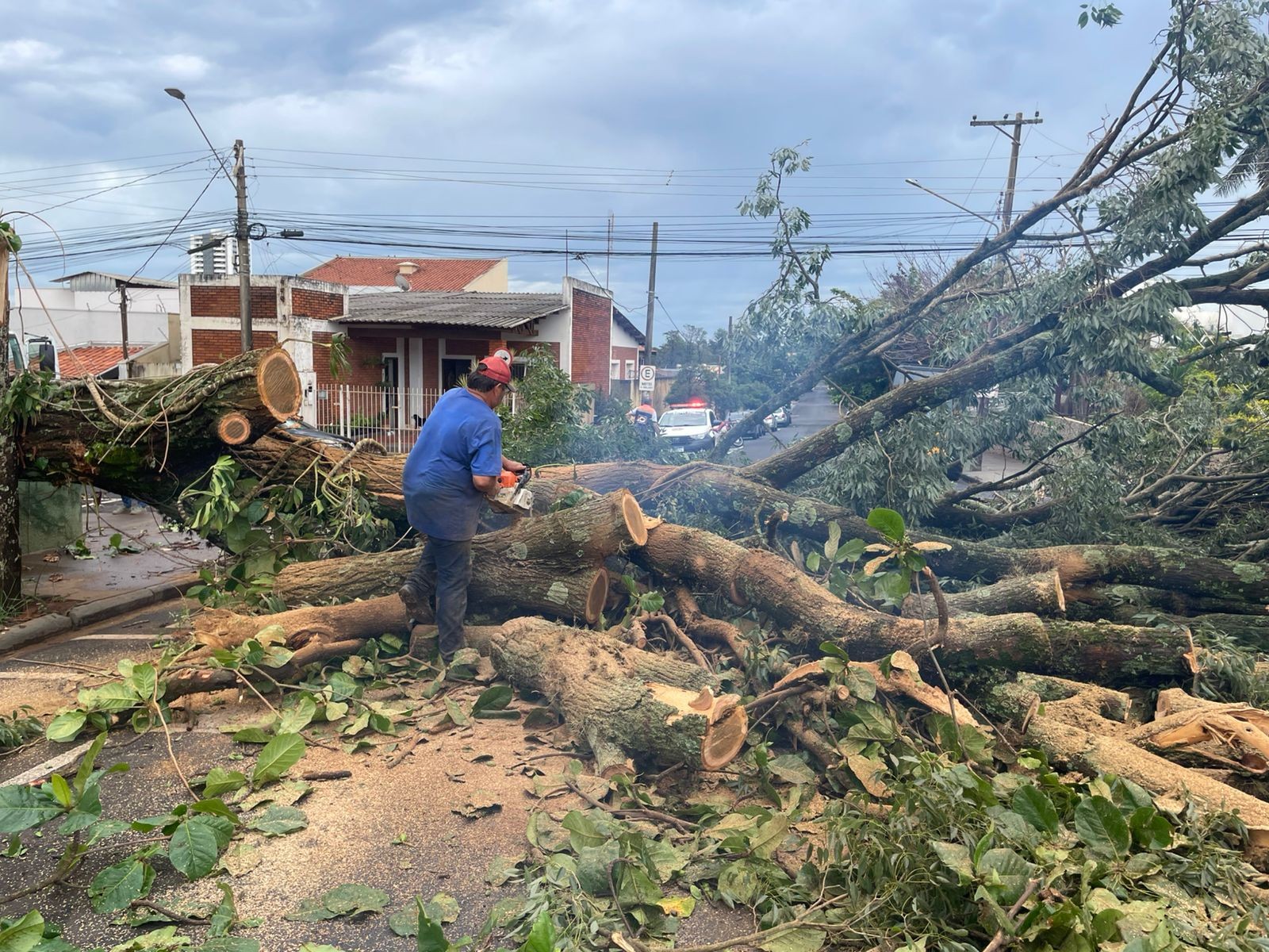 Escolas têm aulas suspensas após estragos causados pela chuva e fortes ventos em Assis