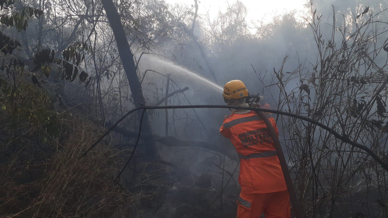 Aulas da UFU são suspensas devido a incêndio em parque urbano de Ituiutaba; vídeo mostra combate ao fogo