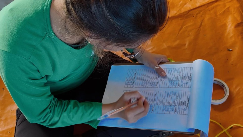 Mensuração de captura de carbono nas Fazendas Caxambu e Aracaçu - Crédito: Gustavo Coetti