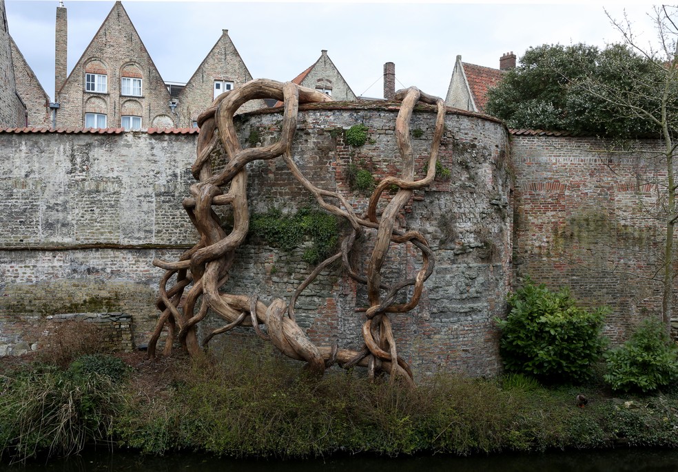 Henrique utiliza compensados de madeiras, galhos e outros materiais que recolhe das ruas em suas esculturas — Foto: Henrique Oliveira Studio/ Reprodução