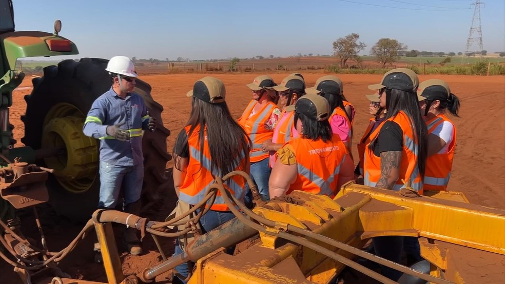 Usinas do interior de São Paulo desejam que a mão-de-obra feminina no campo seja maior — Foto: Reprodução/TV TEM
