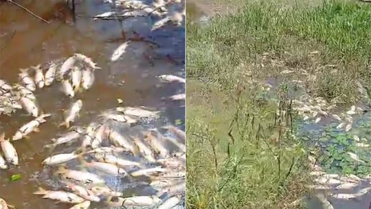 Peixes aparecem mortos perto de barragem no RN, e polícia  investiga se água foi contaminada com uso de drones
