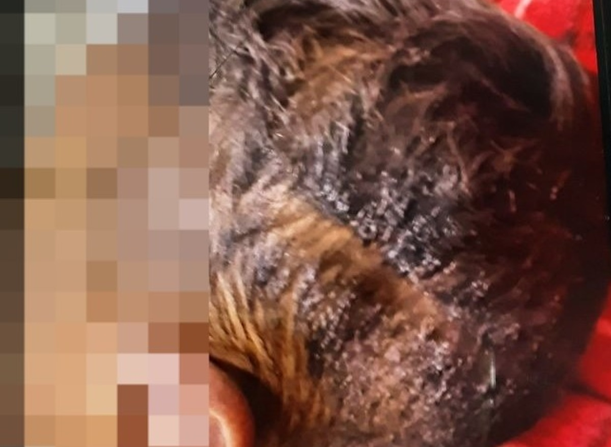 Homem é preso após agredir mulher e jogar copo de vidro contra cabeça de filho de 5 anos em Piracicaba 