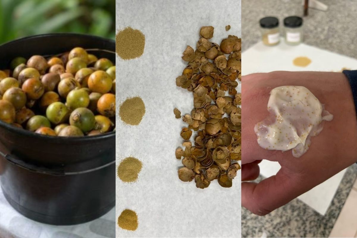 Casca de fruta vira ingrediente para cosmético desenvolvido por universidade de MS