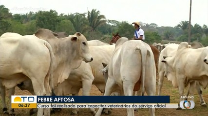Adapec realiza curso para capacitar veterinários sobre a febre aftosa