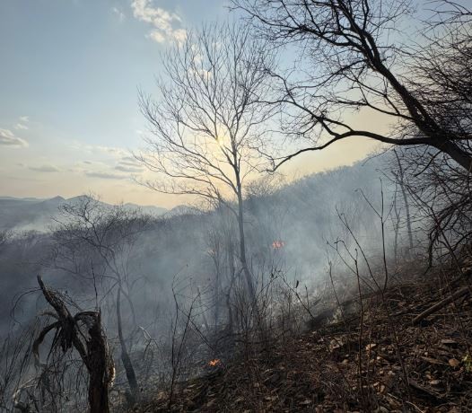 Quinto dia do incêndio florestal no Sertão da Paraíba: após controle de chamas, novos focos surgem