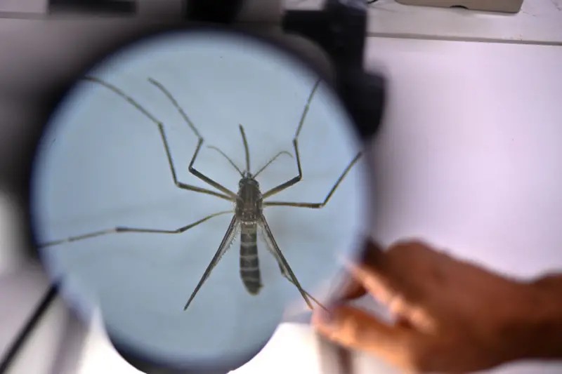 Vacina do Butantan contra a dengue é suspensa; entenda o que levou à decisão e o que fazer se você já foi vacinado