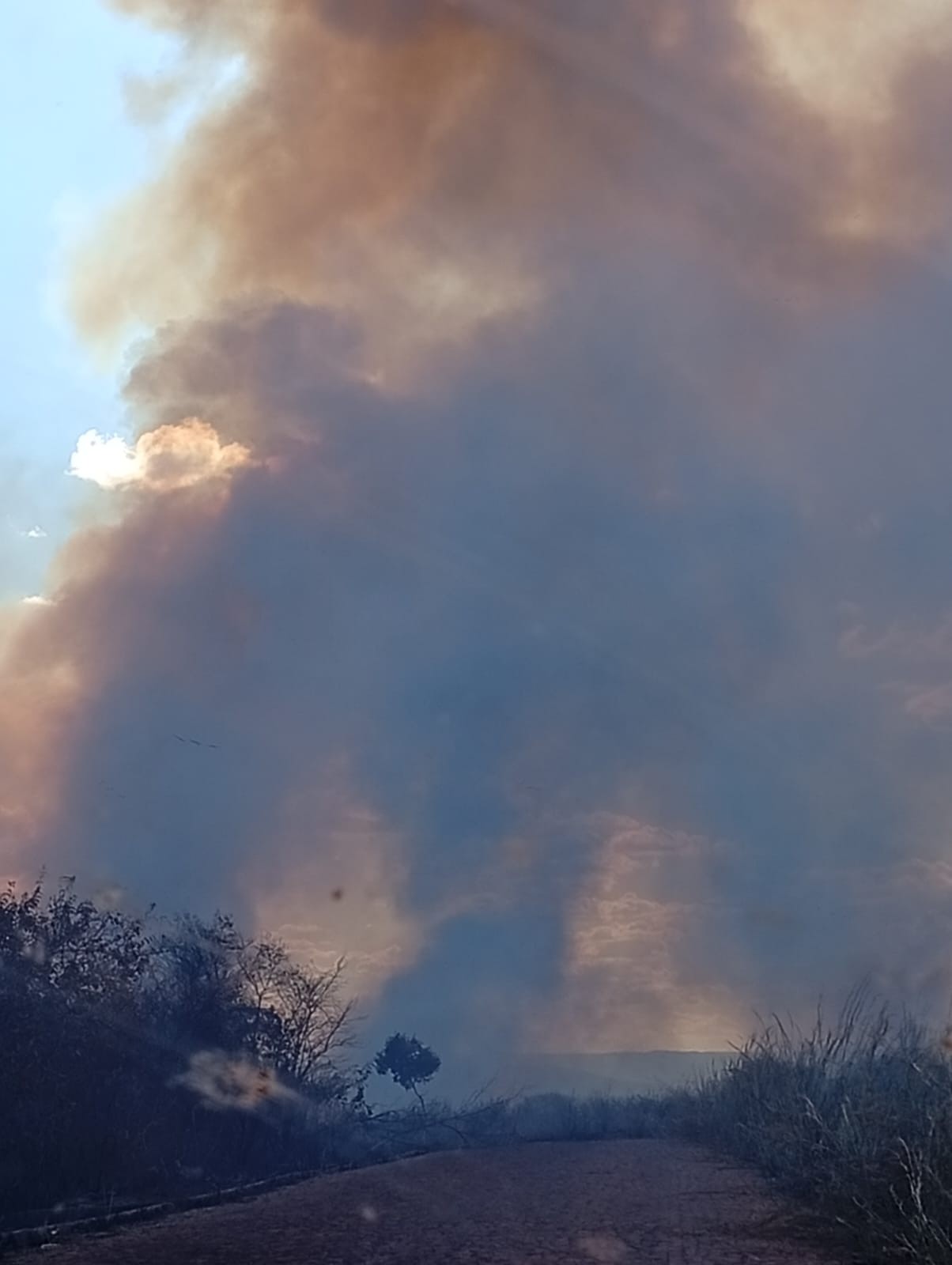 Incêndio de grandes proporções atinge o Cânion do Viana, no Sul do Piauí