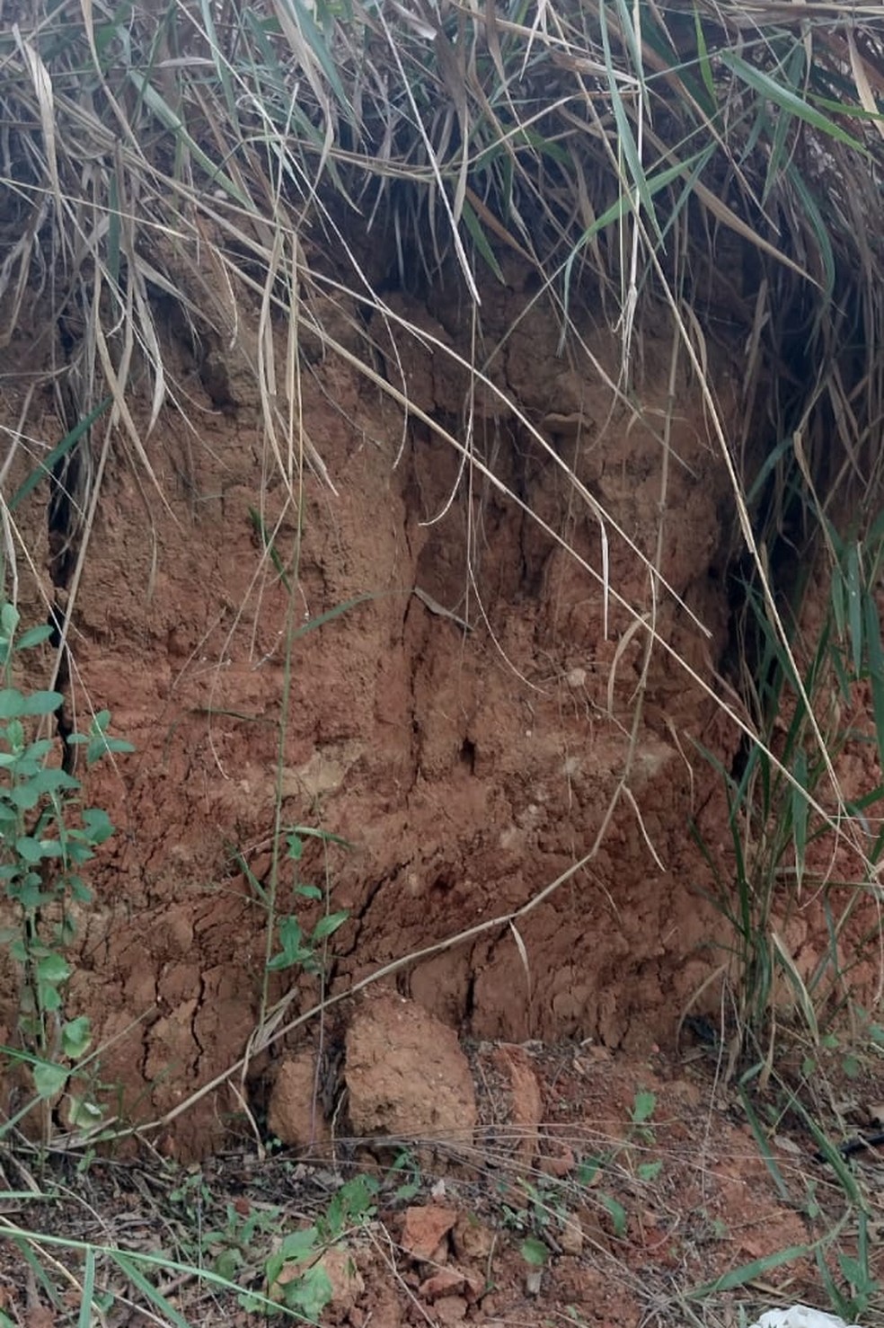 PC abre inquérito para investigar morte de jovem encontrada em barranco em MG — Foto: Polícia Civil