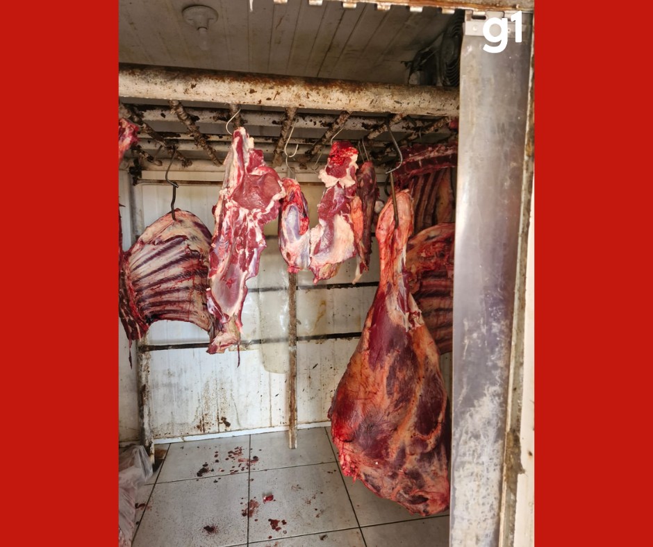 Polícia encontra abatedouro clandestino e apreende carne roubada em MT 