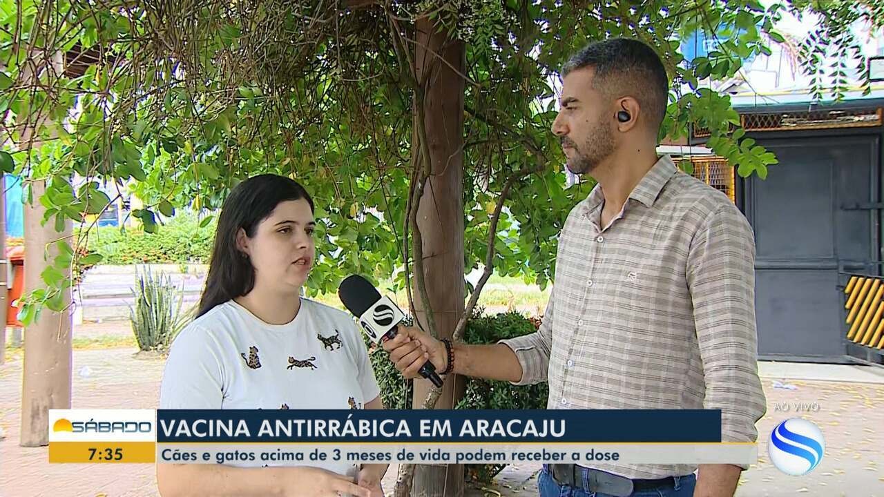 Campanha Antirrábica: saiba onde vacinar seu animal de estimação em Aracaju