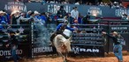 Final da montaria em touros da PBR foi um dos destaques da 4ª noite da Festa do Peão de Americana 2026, neste domingo (7) — Foto: Thomaz Marostegan