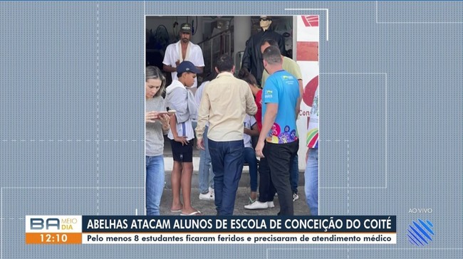 Abelhas atacam alunos de escola de Conceição de Coité