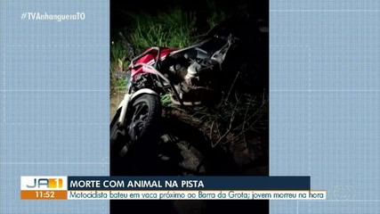 Motociclista morre após bater em vaca em Araguaína