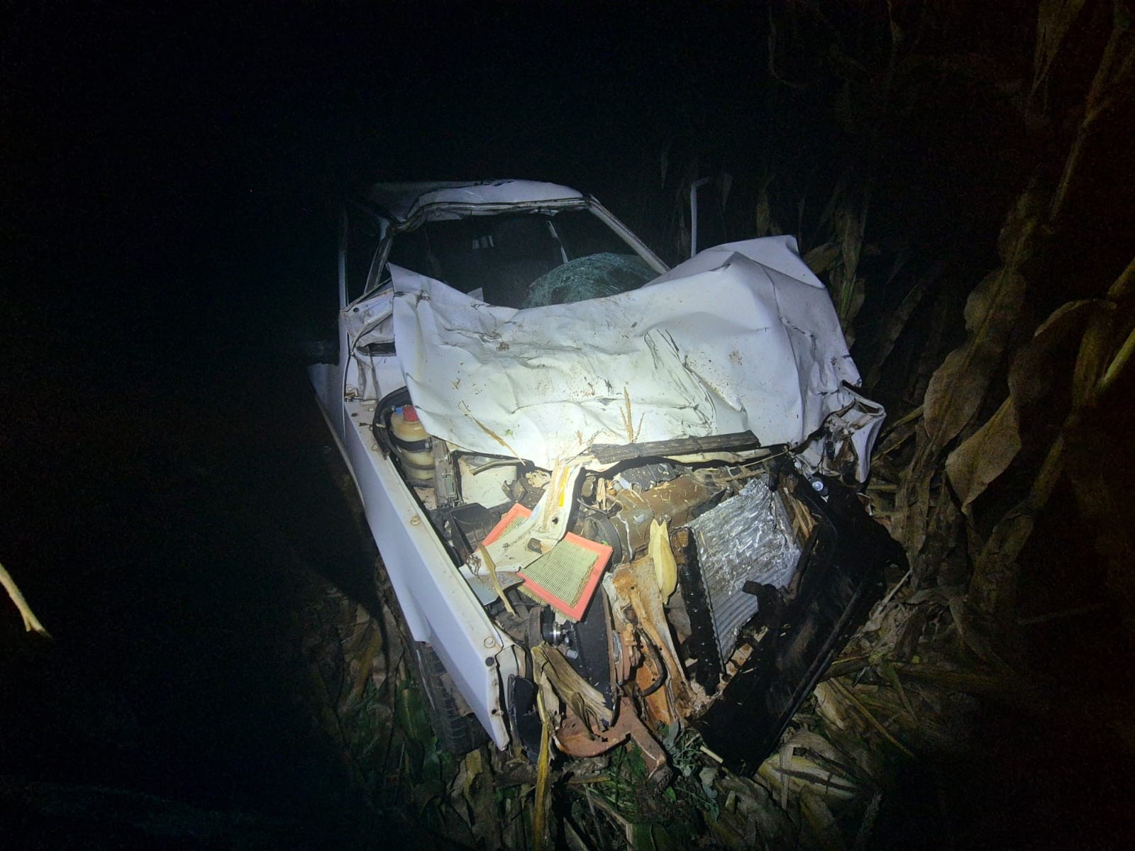 Bebê de 5 meses morre após carro bater em vaca solta em rodovia de MS