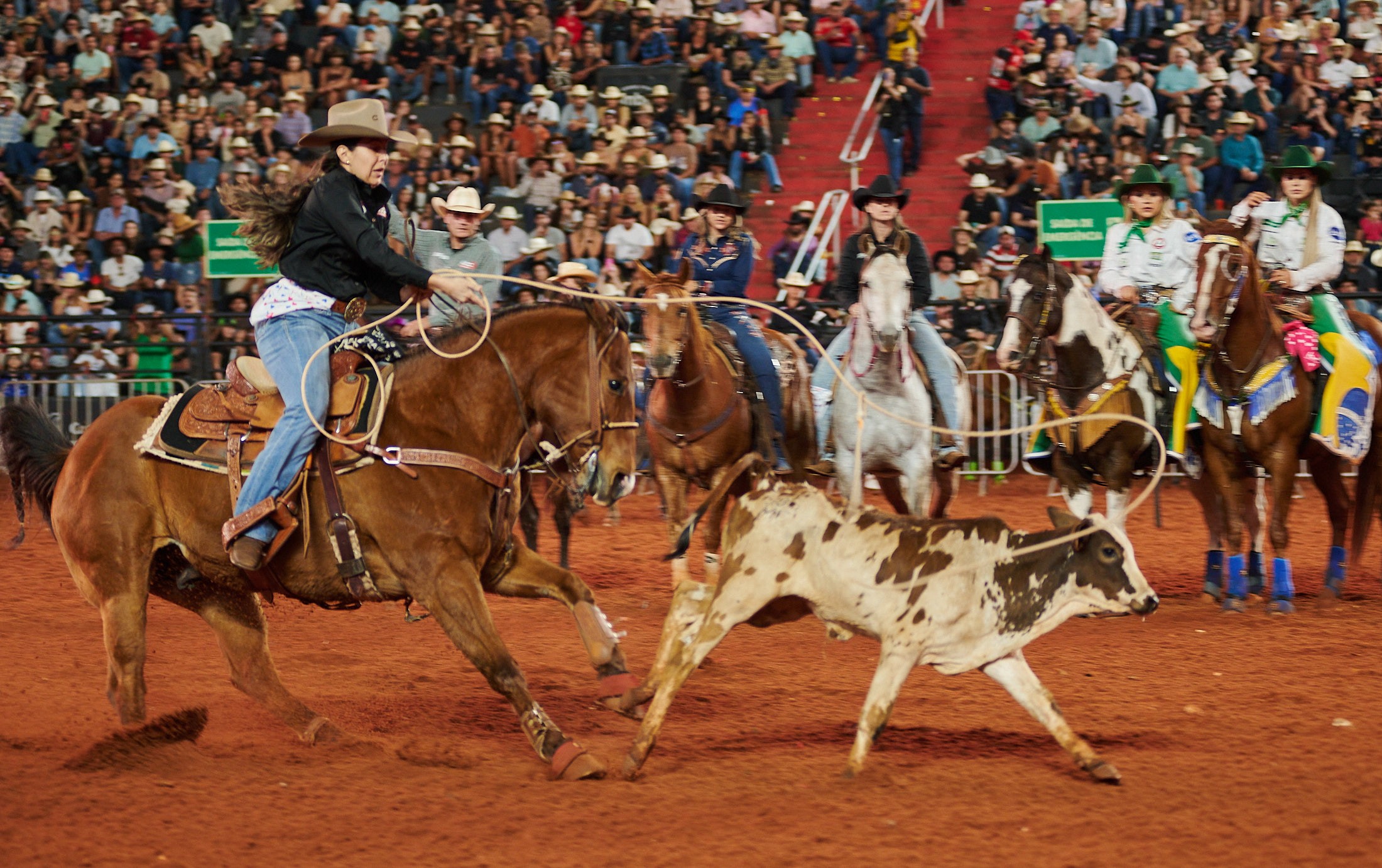 Conheça o breakaway roping, nova modalidade em Barretos que amplia participação de mulheres no rodeio