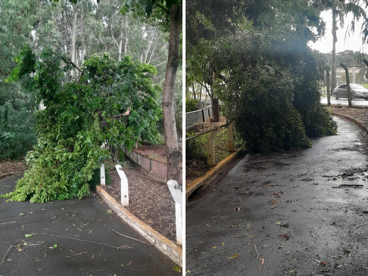 Americana fecha parque ecológico por conta de estragos da chuva