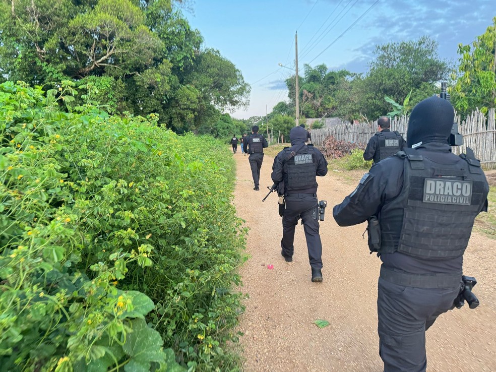 Célula de facção suspeita de envolvimento em 14 homicídios é alvo de operação — Foto: Divulgação/SSP-PI