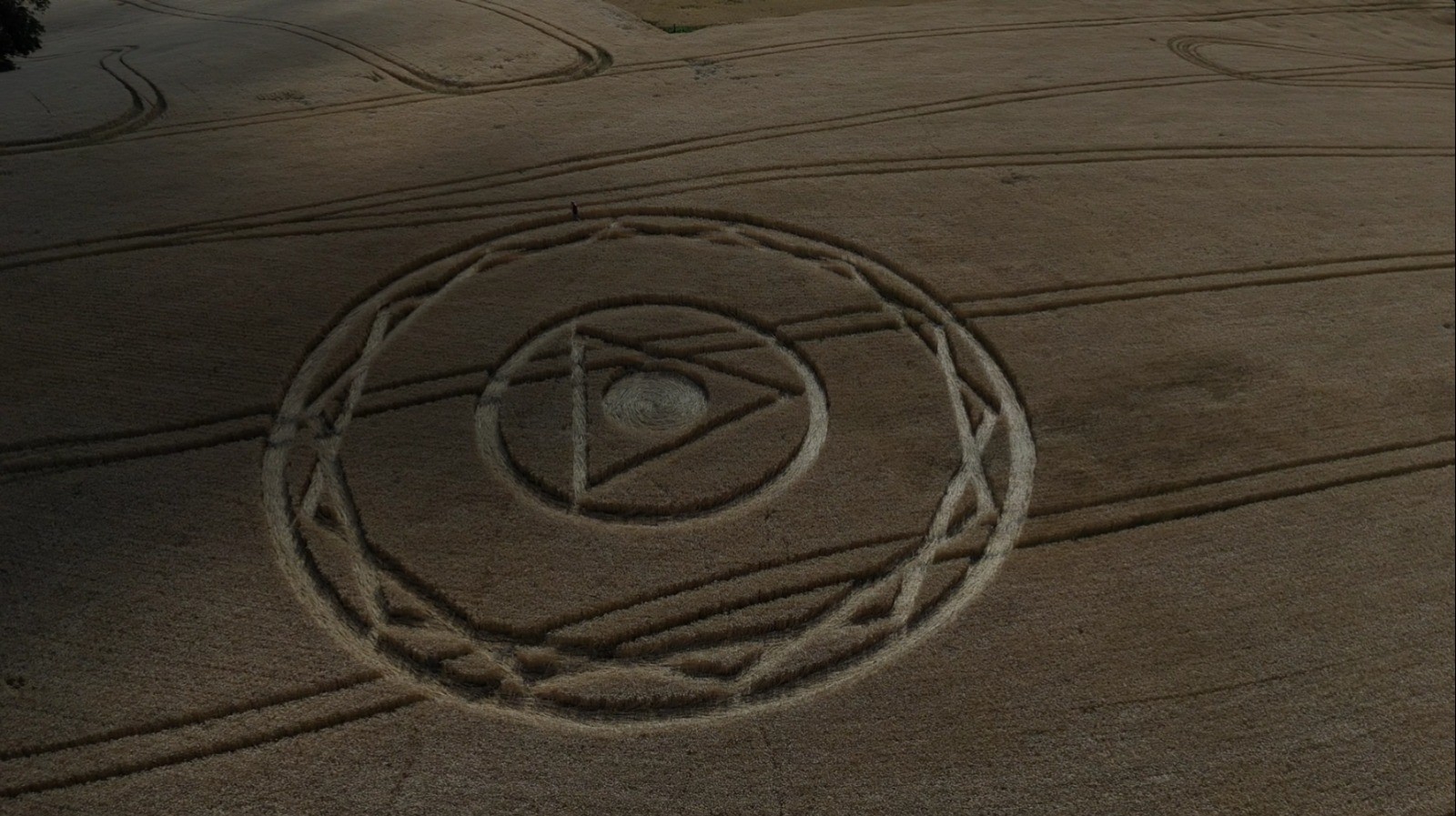 Figura geométrica aparece em plantação de trigo na capital dos agroglifos; VÍDEO