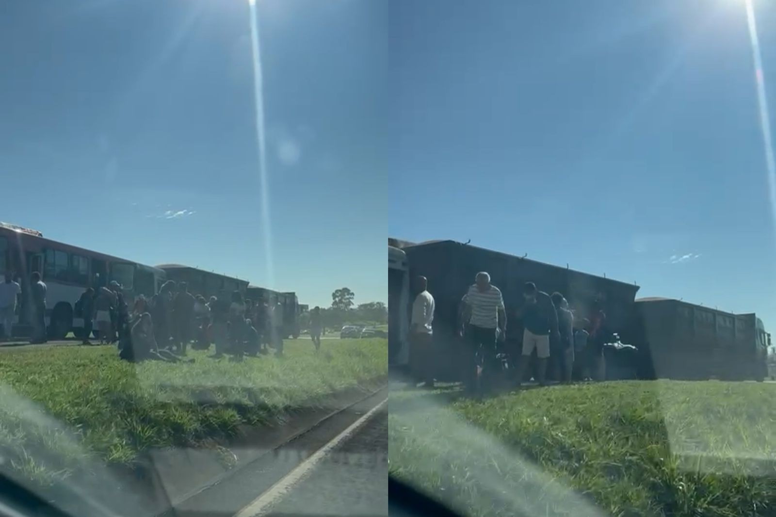 Caminhão é atingido por ônibus após motorista tentar desviar de cão que invadiu rodovia em Mirassol