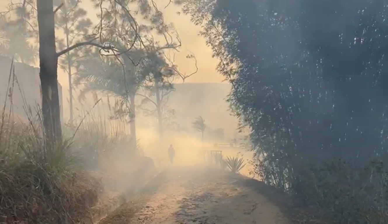 Jardim ecológico Uaná Etê, em Paulo de Frontin, é atingido por incêndio