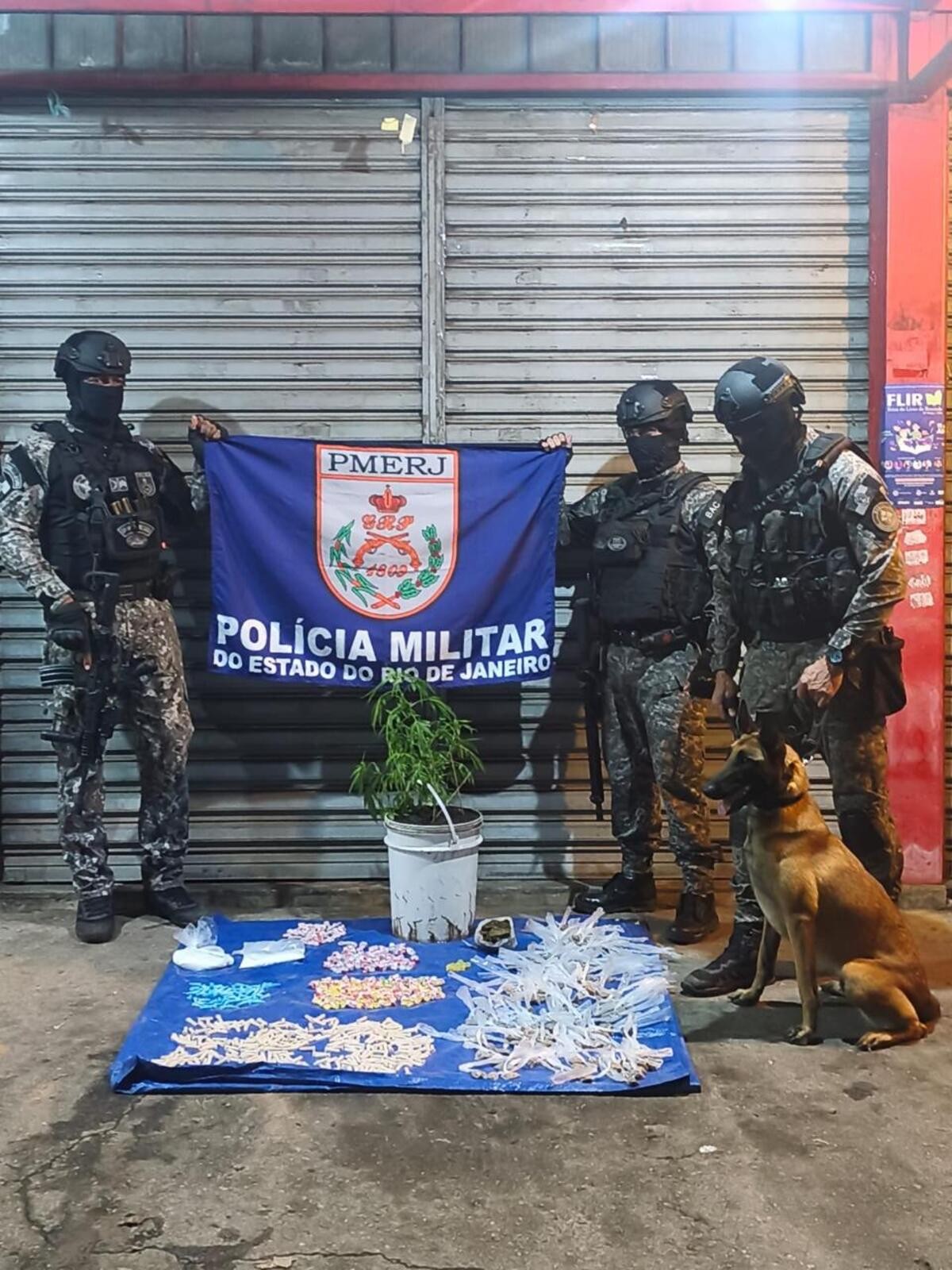 BAC apreende grande quantidade de drogas durante ação em Itatiaia