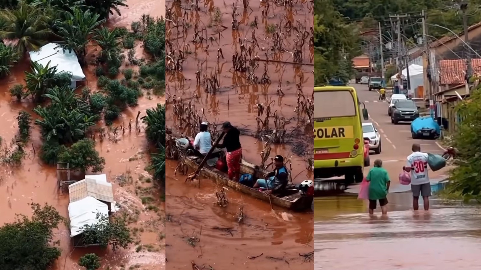 Vídeo: rio enche e atinge casas e plantações de ribeirinhos no Sudoeste do Piauí 