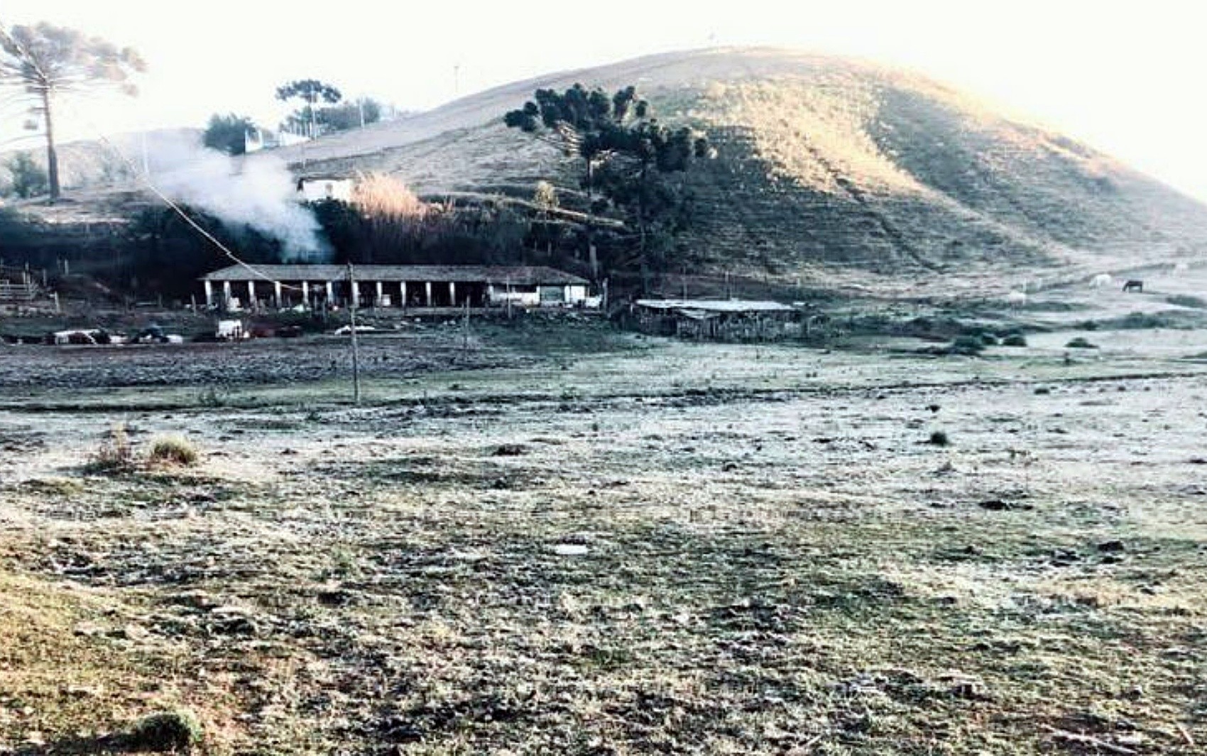 Geada cobre paisagens da Mantiqueira e marca amanhecer gelado no Sul de Minas