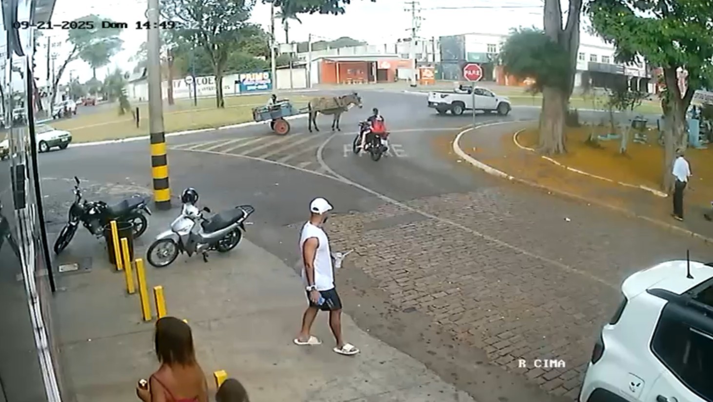 Cavalo é atropelado por motociclista sem capacete em Franca, SP; VÍDEO