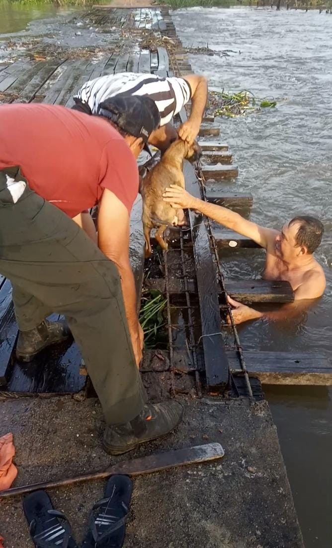 Cachorro é resgatado por moradores após ficar preso em 'ponte' sobre rio no Sertão da Paraíba; veja vídeo