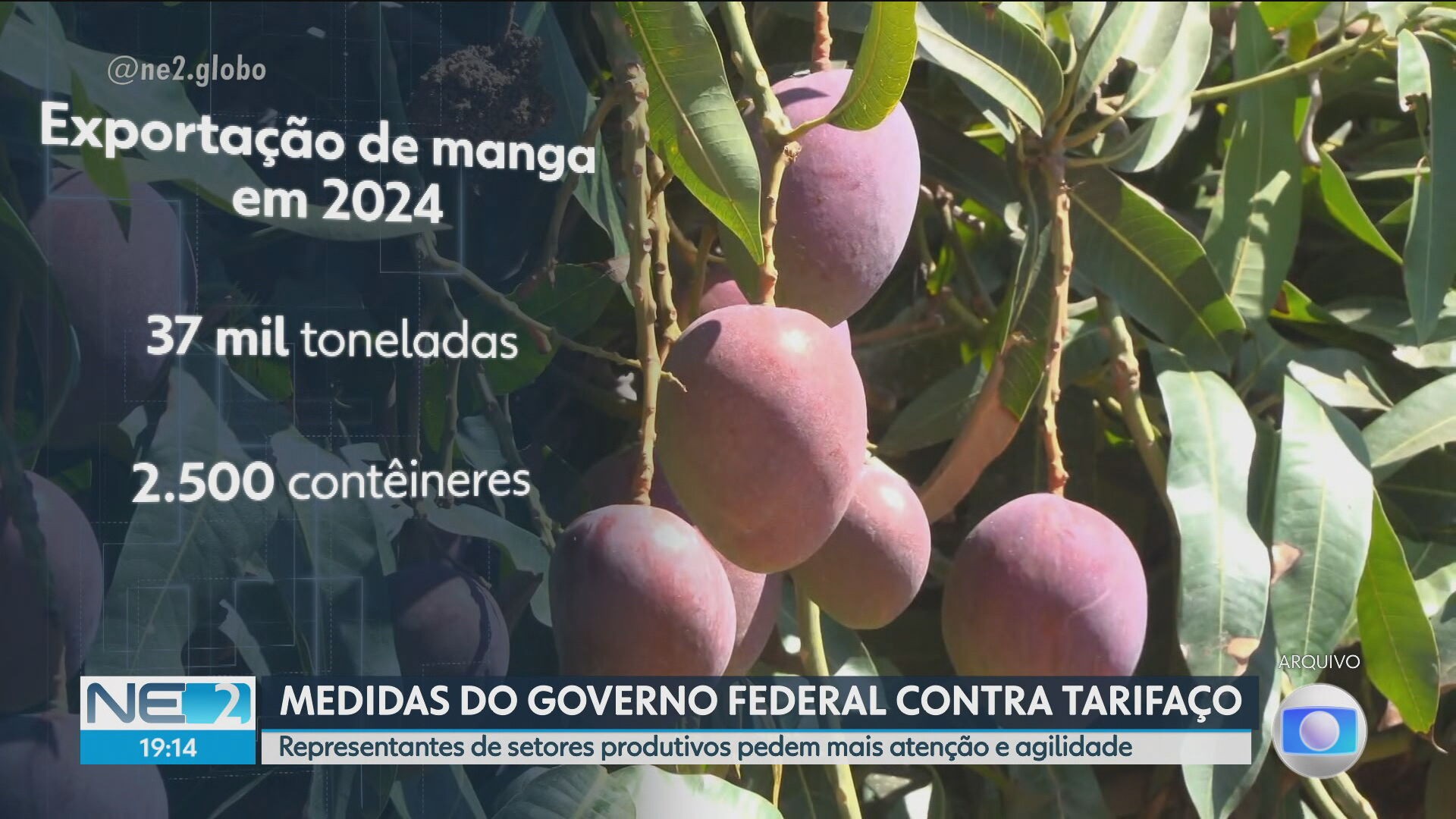 Você Não Tá Convidada pro Meu Bat Mitzvá!
