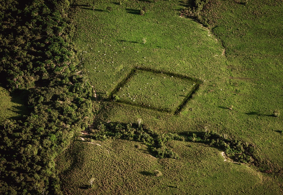 Imagens inéditas de geoglifos no Sul do Amazonas — Foto: Diego Gurgel
