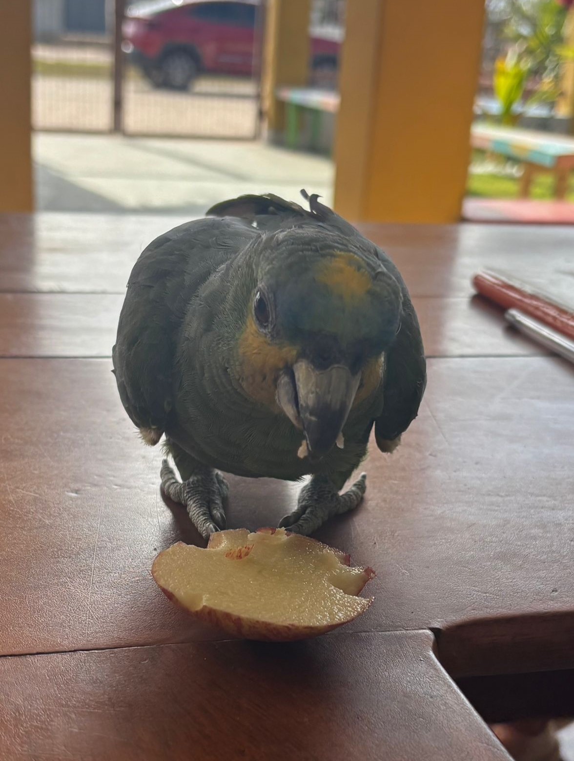 Você Não Tá Convidada pro Meu Bat Mitzvá!