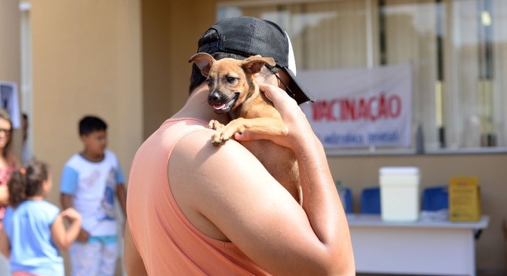 Vacinação contra raiva para cães e gatos acontece nesse sábado (25) em zonas rurais de Teresina; veja locais