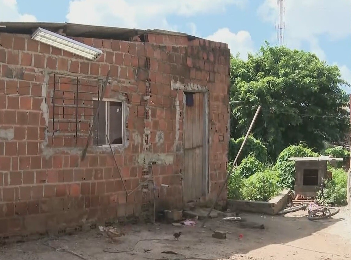 Ataque de pitbulls deixa criança de 2 anos e irmão feridos; tutor é preso