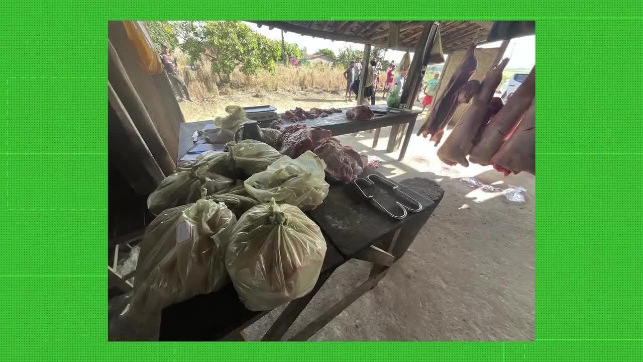 VÍDEOS: Gazeta Rural de domingo, 24 de novembro