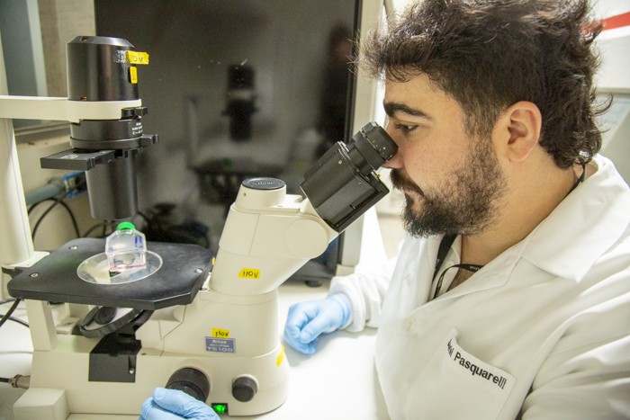 Estudo da UnB em fase inicial vê ômega-3 como possível aliado no combate ao câncer de ovário