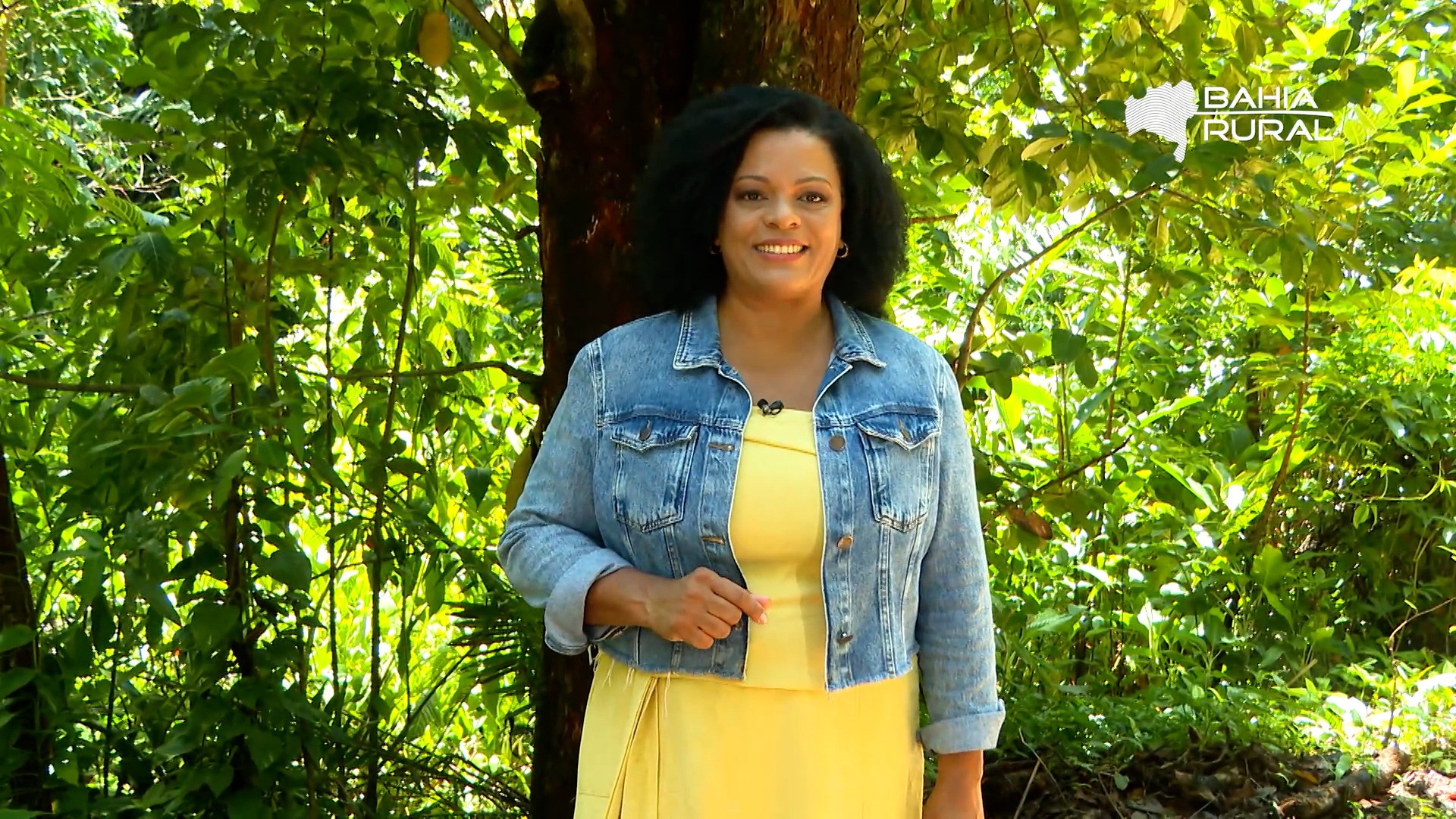 Vídeos da TV Bahia e g1 Bahia –domingo, 30 de novembro de 2025