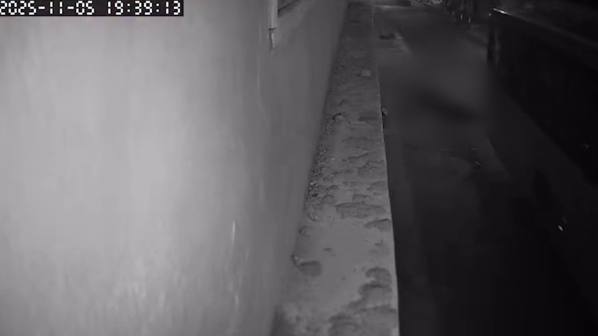 SMTT notifica Consórcio após ônibus atropelar e matar ciclista na Cidade Operária, em São Luís; veja o momento do acidente