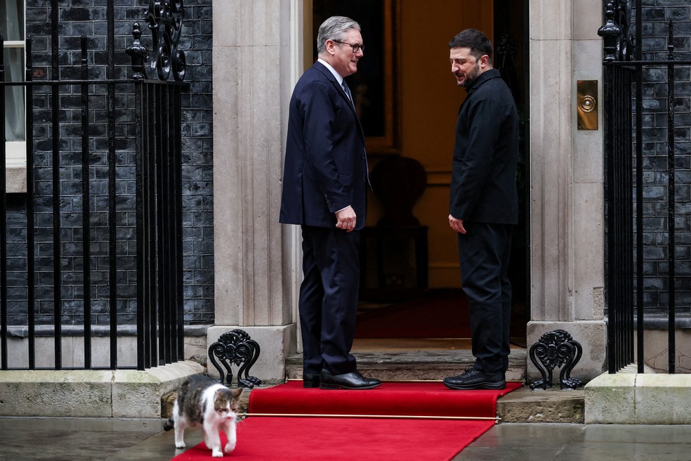 Gato Larry aparece durante recepção do premiê do Reino Unido, Keir Starmer, ao presidente ucraniano, Volodymyr Zelensky, na residência oficial do governo britânico em 8 de dezembro de 2025. — Foto: REUTERS/Isabel Infantes